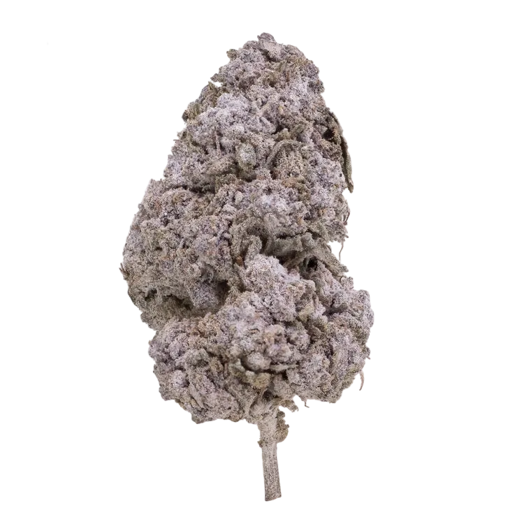 Purple Candy - THCA 24%