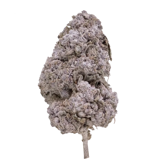 Purple Candy - THCA 24%