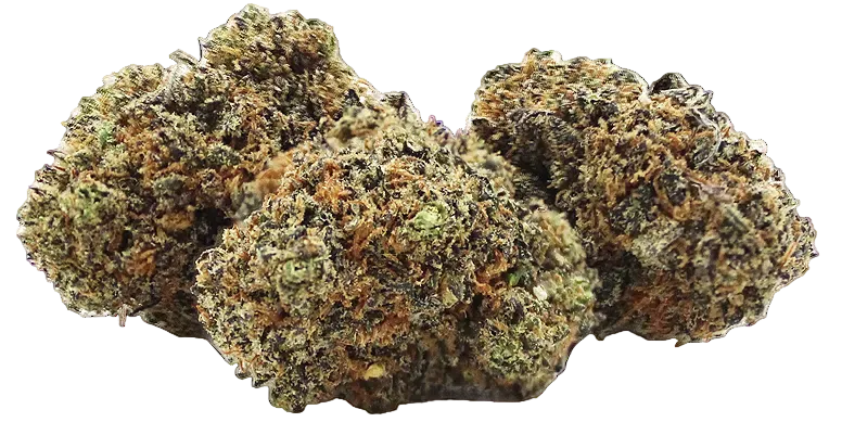 Gelato Zkittelz - THCD 10% EKSTRA STÆRK